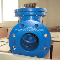 BS5153 Metal Seat Swing Check Valve